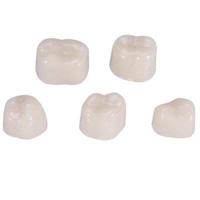 Garosa Couronne dentaire temporaire, couronne temporaire, 50Pcs / Box  2Types Dents dentaires Couronne orale antérieure réaliste réaliste de soins  buccaux 