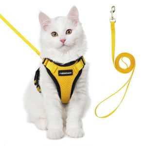 Harnais pour chat jaune fluo Cdiscount