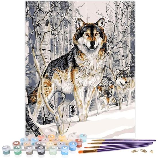 Kit Peinture Par Numéros Metuu - Toile 40,6 X 50,8 Cm Avec 3 Pinceaux - Acrylique Adulte/enfant - Déco Maison