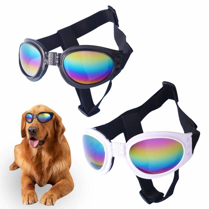 Lot de 2 lunettes de soleil pour chien, coupe-vent, antibuée, protection UV, pour chat et petit chien, noires