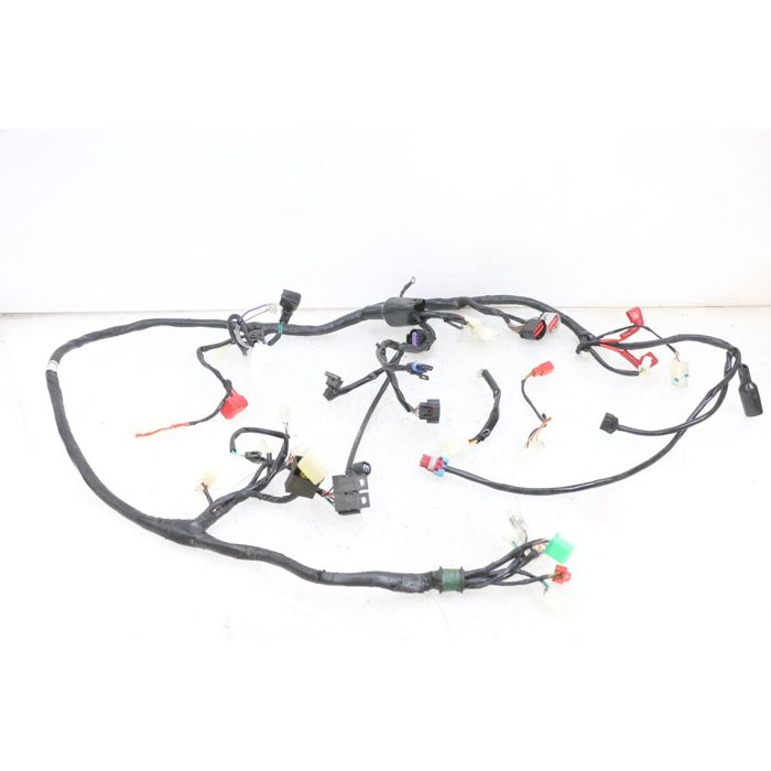 FAISCEAU JM MOTORS SANTANA EVO 50 2024 - 2026 / 239484 - Cdiscount Auto
