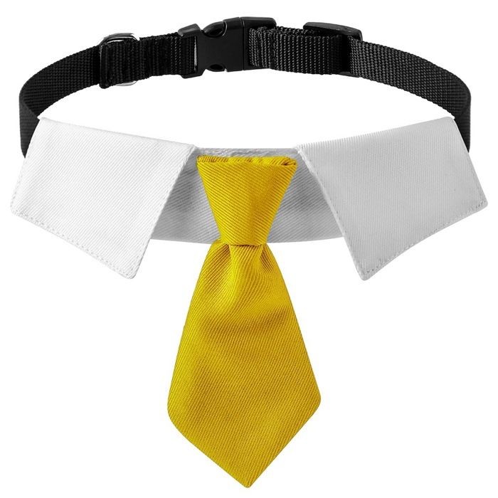 Costume de mariage pour chien - Phoesky - Polyester - Décoration de col de cravate - Luxe britannique - Moderne