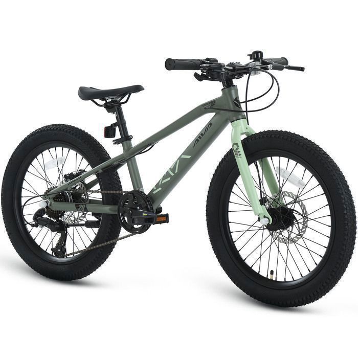 AIVA Velo VTT 20 - Cadre aluminium - Pour Ville et Loisirs - Pour Homme/Femme avec dérailleur 7 vitesses - Vert