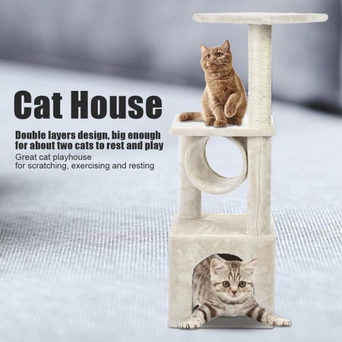 Chat Arbre Dactivité Double Couche Chaton Escalade Animaux