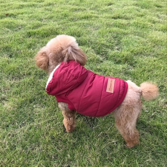Meilleur manteau sales pour chien