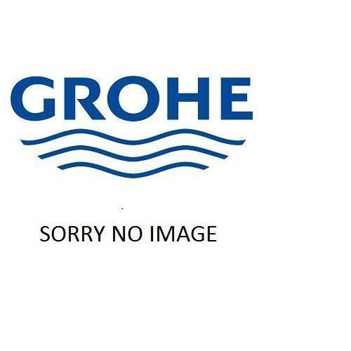 GROHE flexible 43307000
