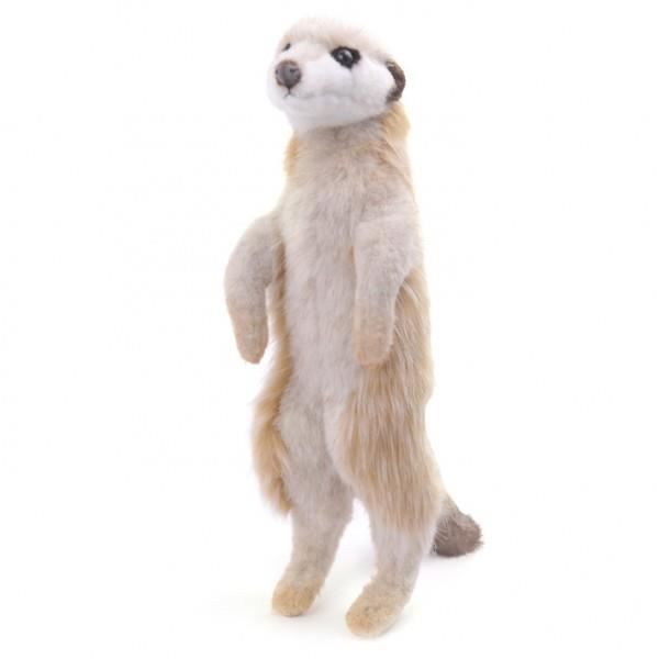 peluche suricate