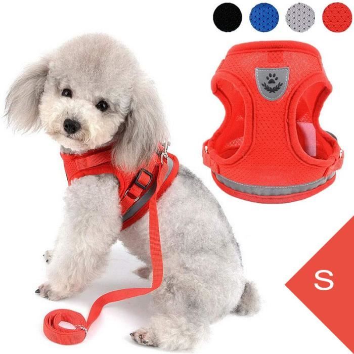 Meilleurs prix pour Harnais Animal,Harnais chien Ajustable Filet avec Chiots Laisse,Douillet Harnais Chat avec Ensemble de Bande réfléchissante-Rouge S