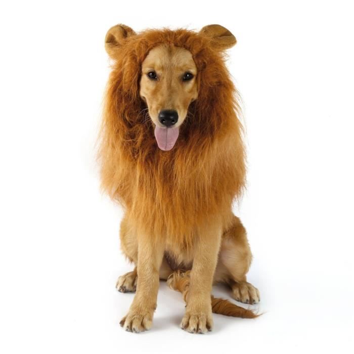 Deguisement Pour Chien Squelette Achat Vente Pas Cher