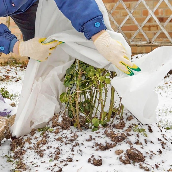 Akuoly Toison Non-tissée D'hiver Pour Plantes