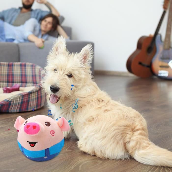 Balle Interactive Pour Chien - Rebondissante Et Vibrante - Rechargeable USB - Pour Chiens Petits Et Moyens - 5