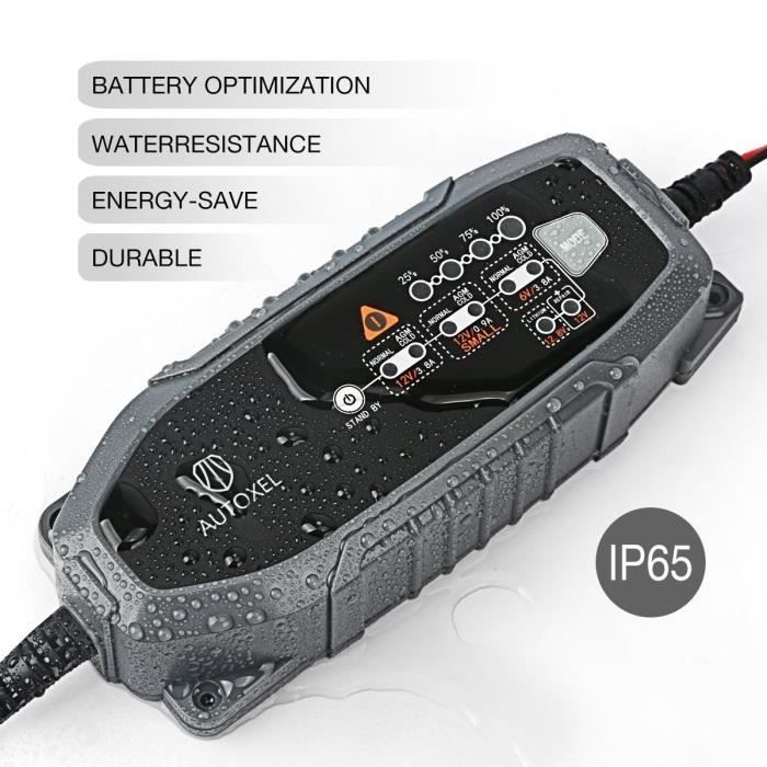 Autoxel 2025 battery charger