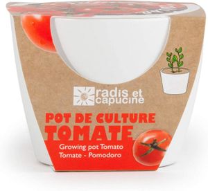 POT DE GERMINATION Pot Céramique Blanc 8 cm avec graines de Tomate Ce