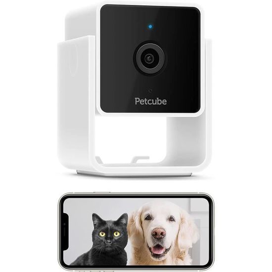 Collier caméra vidéo enregistreur moniteur pour chat chien animal