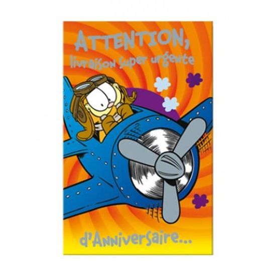 Carte Anniversaire Garfield Livraison Urgente Cdiscount Beaux Arts Et Loisirs Creatifs