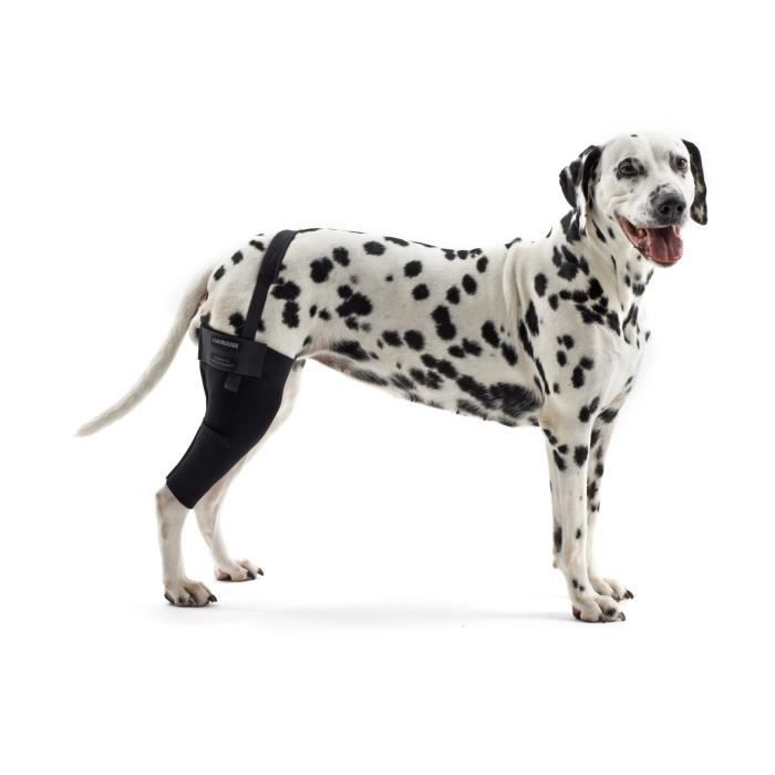 Kruuse Rehab - Genouillère - Chien Mixte - Noir - M Droite
