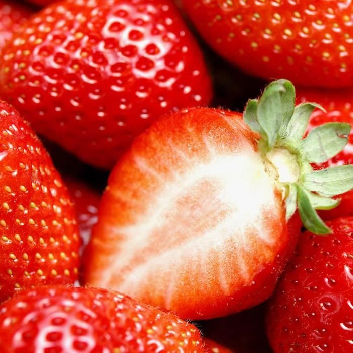 300 pcs/sac graines de fraises géant graines de fruits bio--Rose Vie