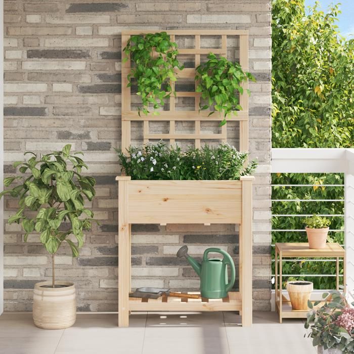 Moderne Jardinière avec treillis et étagère Boîte à Fleurs/Plantes - 71x37x152 cm en bois massif de sapin - Terrasse @FR(918326)