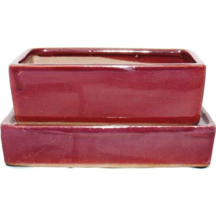 Bol Bonsaï Yixing Avec Soucoupe - Rectangulaire Marron/Beige GB5 37x28x10 Cm