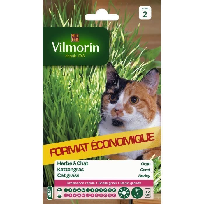 VILMORIN Sachet graines d'herbe à chat Orge (Lot de 3)