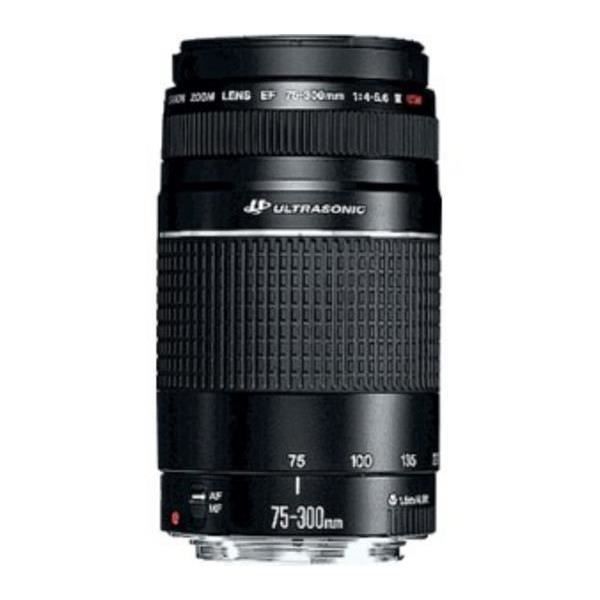 EF 75300 mm III f/45,6 USM Objectif pour Canon Cdiscount Appareil Photo