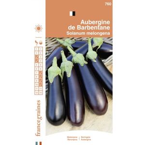 GRAINE - SEMENCE France Graines - Aubergine de Barbentane
