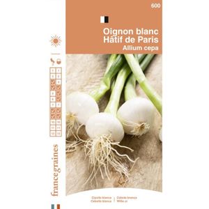 GRAINE - SEMENCE France Graines - Oignon Blanc Hatif de Paris