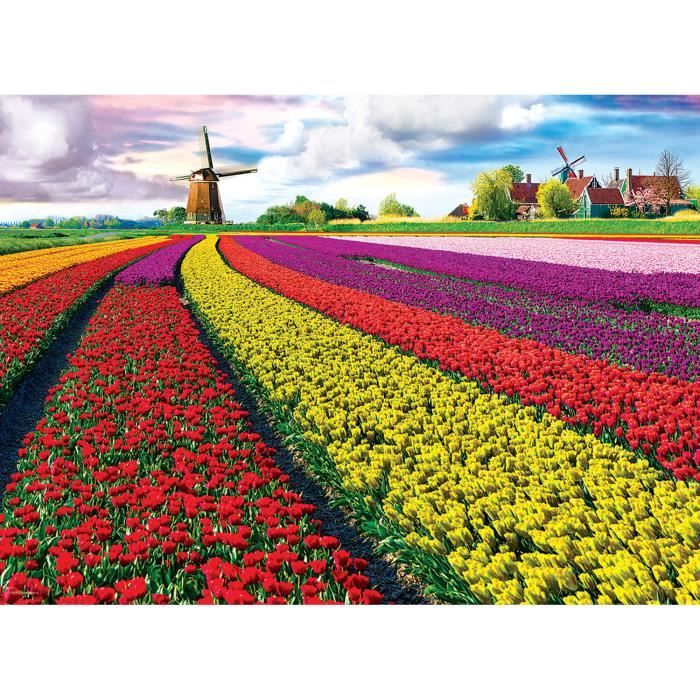 Puzzle 1000 pièces : Champ de tulipes Coloris Unique