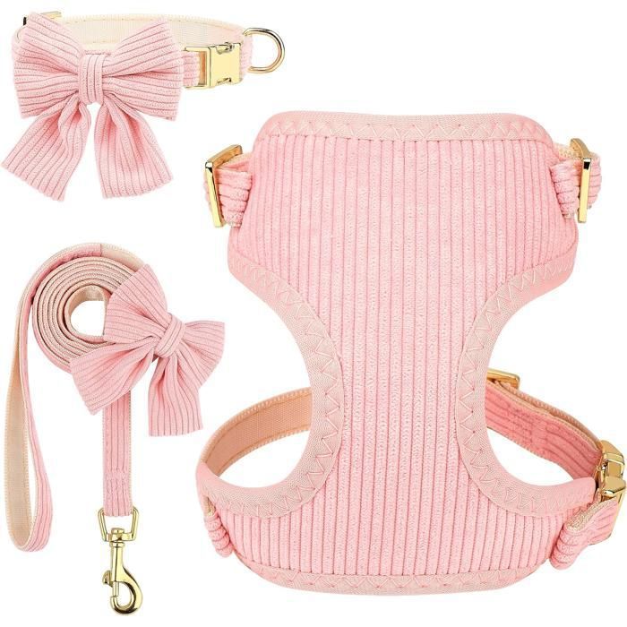 Meilleurs prix pour Ensemble harnais et laisse réglables pour chien avec nœud papillon gilet doux et respirant pour petits chiens idéal pour la