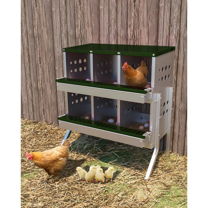 Pondoir pour Poules Nichoirs sur pied 6 cases avec perchoir antirouille et œufs factices. Parfait pour poulailler extérieur-Vert
