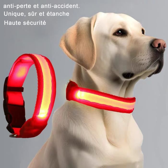 Lumilon | Collier lumineux LED anti-perte, anti-accident