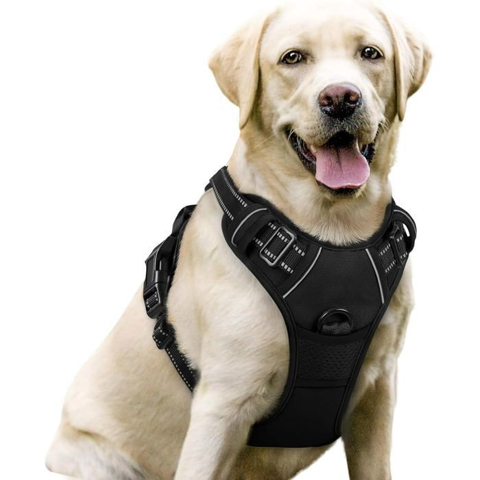 Meilleurs prix pour Harnais Chien / Harnais pour chien anti traction Facile à mettre-- Noir taille L