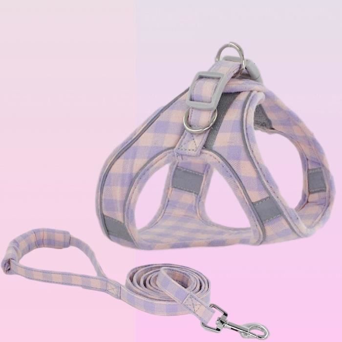 Acheter Ensemble Harnais Et Laisse Pour Chat, Collier Réglable En Nylon