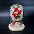 Rose Eternelle sous Cloche,Fleur Artificielle avec Lumineuse LED,Dôme en Verre et Base en Bois,Fête de Cadeaux-1