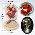 Rose Eternelle sous Cloche,Fleur Artificielle avec Lumineuse LED,Dôme en Verre et Base en Bois,Fête de Cadeaux-2