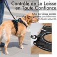 Harnais Chien / Harnais pour chien anti traction Facile à mettre-- Noir taille L-3