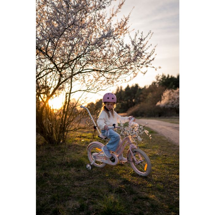 Vélo Enfant Dino Bikes 16 Pouces Rose - Petit Cœur - Avec Roues Et Panier