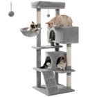 PAWZ Road Arbre à Chat xl Coussin Amovible, Poteau Griffoir, Condo double large pour les gros chats, 143cm Gris