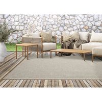 Tapis de Salon ou Terrasse en beige-gris 140x200 | Tapis plat moderne | Rectangulaire | Interieur et Exterieur - The Carpet Ottowa