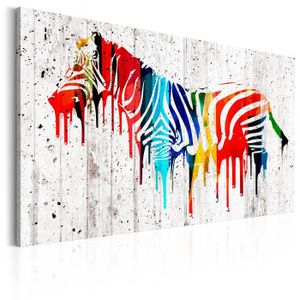 Tableau Colore Animaux Achat Vente Pas Cher