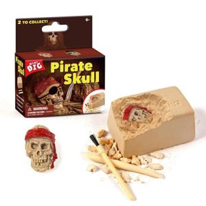 FIGURINE - PERSONNAGE Pirate - FEOOE – Puzzle pour enfants, Jouet d'excavation manuelle des Pirates, Nouveau jouet d'excavation géo