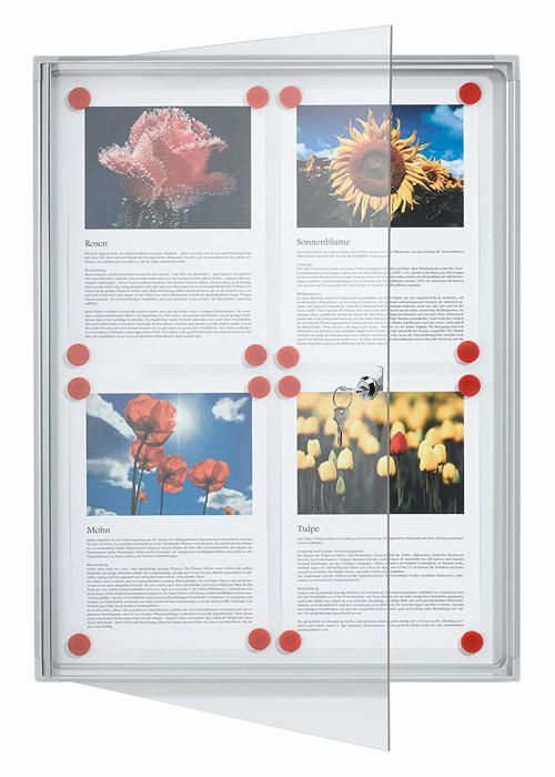 FRANKEN vitrine X-tra!Line, 4 x DIN A4, surface…