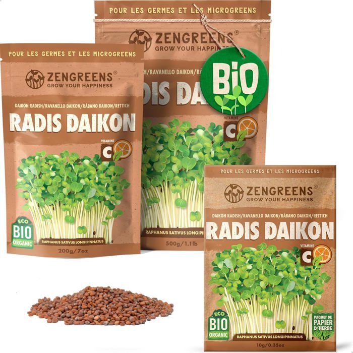 Kit Graines De Bonsaï Premium - 5 Variétés Uniques Avec Taux De Germination Élevé + EBook Gratuit Pour Cultiver Votre Arbre