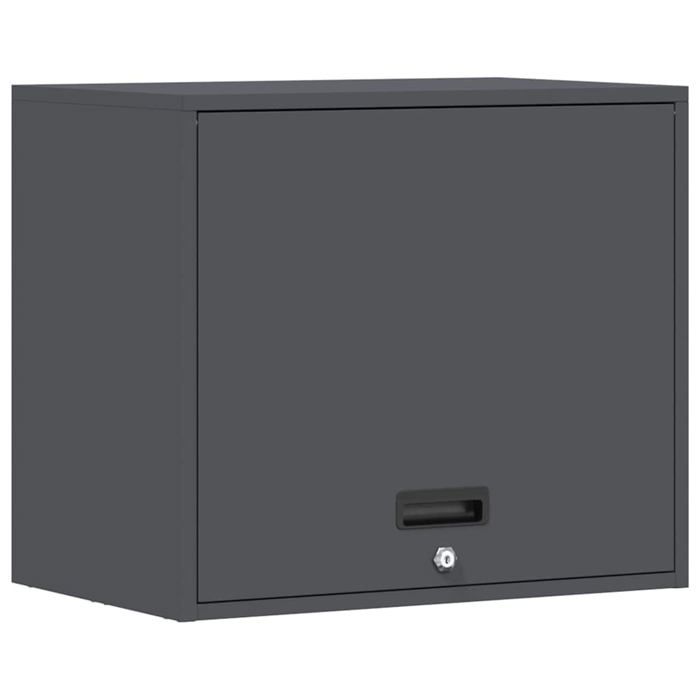 Armoire murale en acier vidaXL 60x40x53 cm 1 compartiment Montage mural Acier revêtu de - vue 5