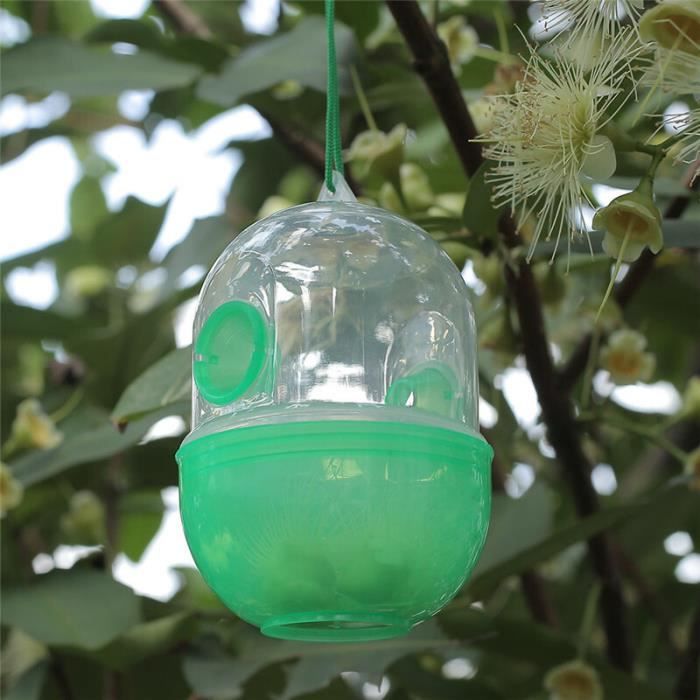 Cage D'Abeille Noire Piège à Essaim Portable - Outil Apiculture Capture Essaim