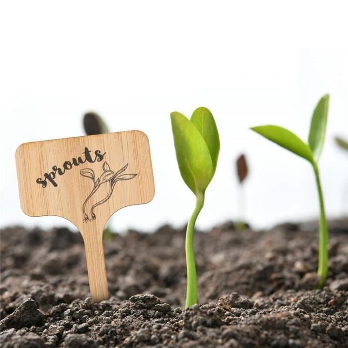 50 Étiquettes De Plantes En Bambou Avec Stylo - Marqueurs Jardin Écologiques T-Type