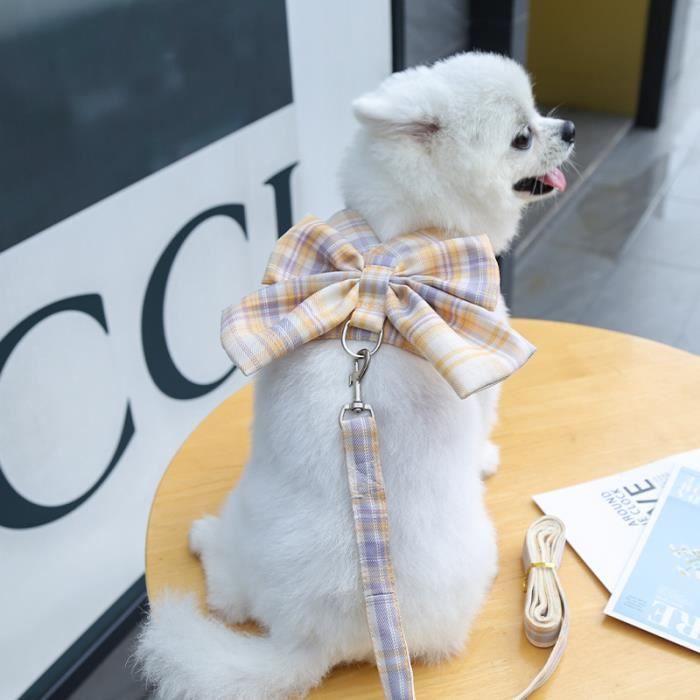 Harnais Déguisement Chauve-souris Pour Chat Et Chien - Avec Laisse Ajustable - Pour Promenade Ou Fête D'Halloween - Taille S/M