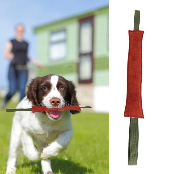 Remorqueur De Tige De Formation De Morsure De Larme De Chien En Cuir Durable Avec Deux Poignées