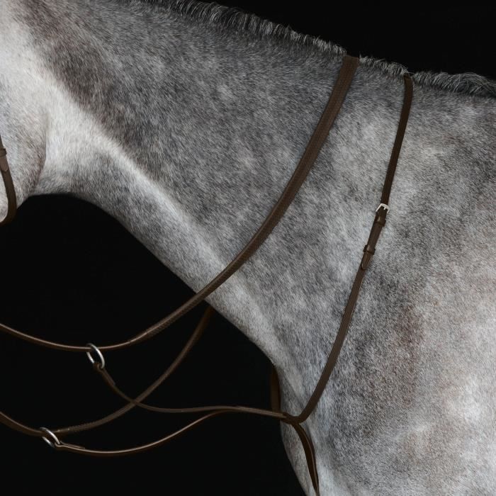 Harry's Horse Martingale Marron