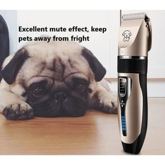 Hyrew Lot De 3 Brosses De Toilettage Pour Chien Et Chat Avec Poils